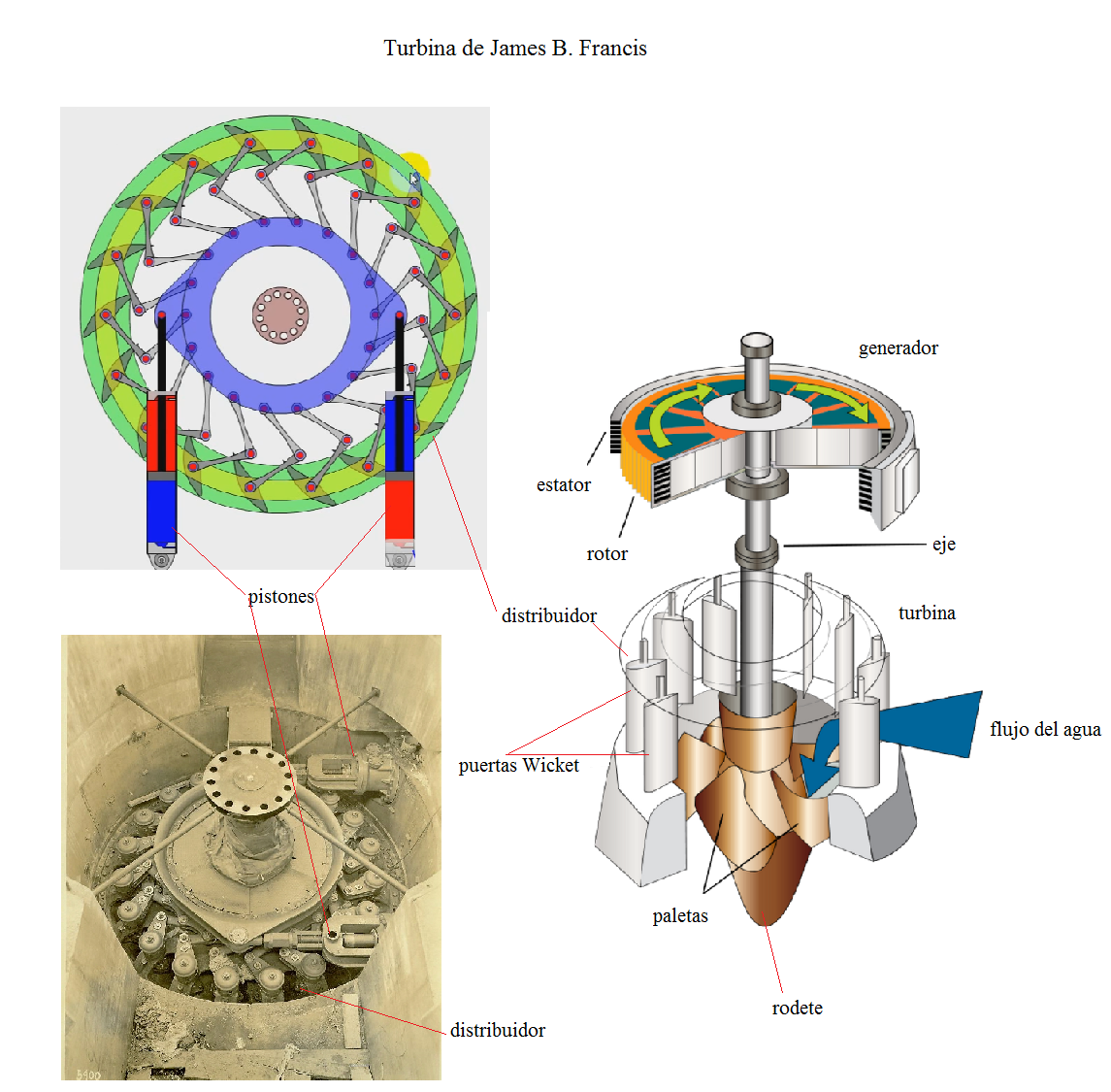 turbina-wicket-francis-2